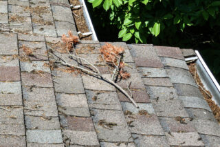 Roofing Debris