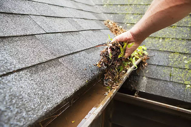 Gutter-care.jpg