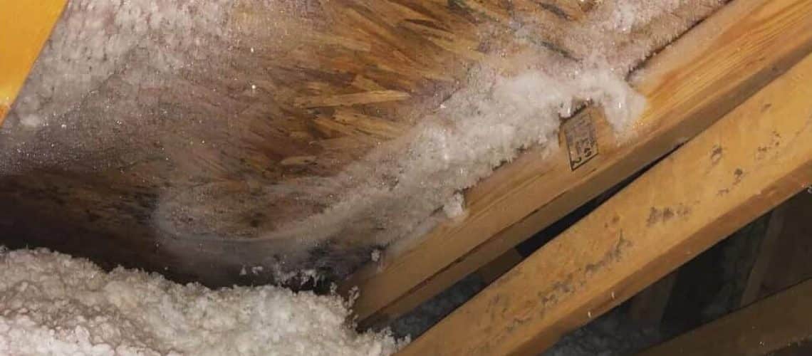 Roof-condensation.jpg