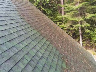 Roof Cleaning Tips for a Moss-Free Pacific Northwest Home