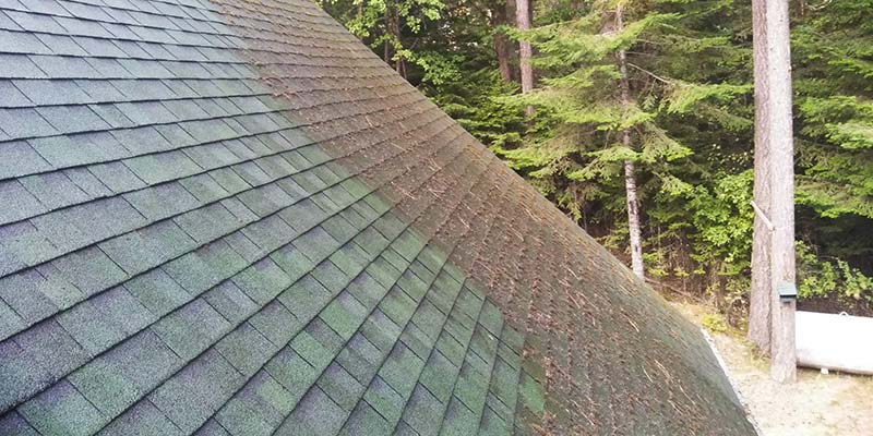 cleaning-debri-on-roof.jpg